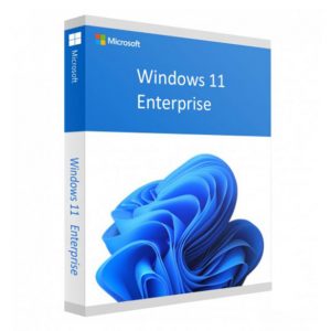 windows 11 enterprise